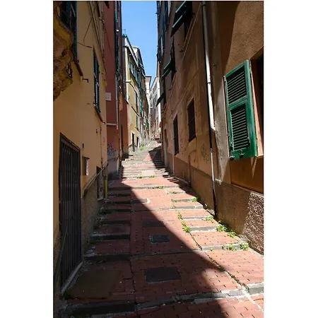 Apartman Hintown Casa Parva In Centro Citta *